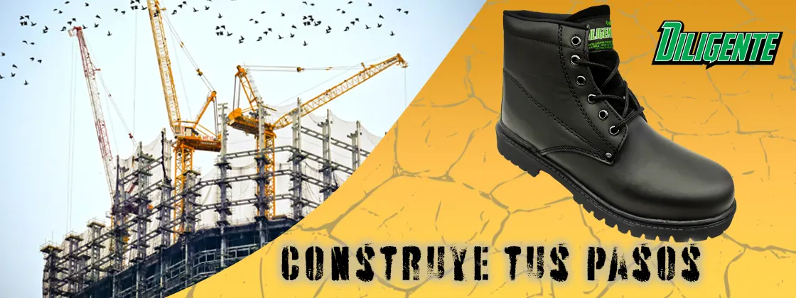 Baner Diligente copia para web